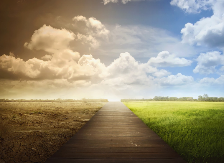 Les défis environnementaux : Investir et agir pour le climat