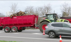 Dermatose, Mercosur: des agriculteurs des Yvelines bloquent la nationale 12