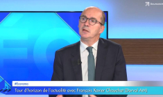 Midterms : "Les marchés préfèrent la paralysie à l'hyperactivité de Trump !", selon François Xavier Chauchat (Dorval AM)