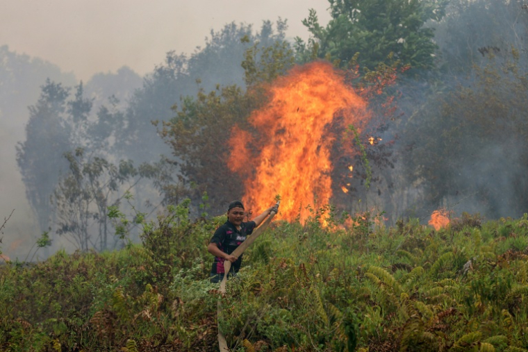 Un pompier éteint un incendie dans le village de Sungai Tabuk, dans la province de Kalimantan du Sud, le 16 octobre 2026 en Indonésie ( AFP / MUDA SAGALA )