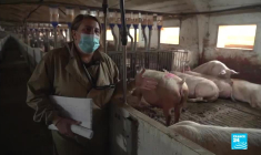 Espagne : les "macro-fermes", un modèle d'élevage au cœur d'un débat intense