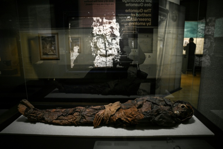 Une momie des îles Canaries surnommée "Jeune femme guanch"e présentée lors de la visite de presse de l'exposition "Momies", au Musée de l’Homme à Paris, le 18 novembre 2025 ( AFP / JULIEN DE ROSA )