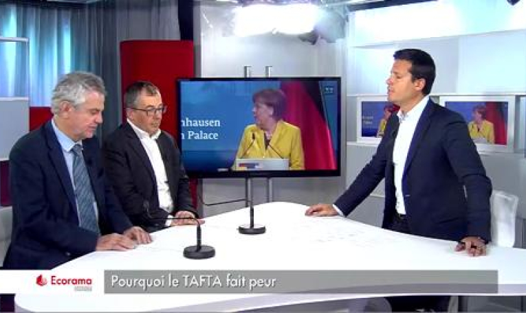 Pourquoi le TAFTA fait peur...