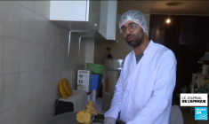 L'apiculture séduit les jeunes en Tunisie : des ruches intelligentes et durables pour sauver les ruches en Tunisie