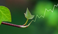 Les souhaits des investisseurs seront pris en compte dès cet été. (© cc Flickr antonio)