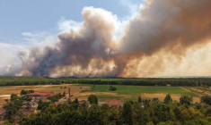 Les pompiers français luttent contre un incendie dans la forêt de Fontainebleau, près de Paris