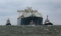 Le "Cape Ann", dans la Manche, en septembre 2023 ( AFP / LOU BENOIST )