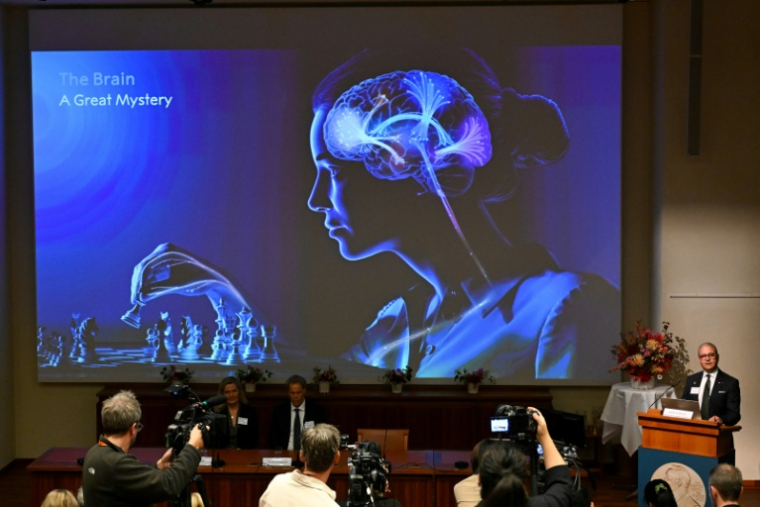 Un écran affiche une illustration du cerveau lors de l'annonce des lauréats du prix Nobel de médecine à l'Institut Karolinska de Stockholm, en Suède, le 5 octobre 2026 ( AFP / Jonathan Nackstrand )