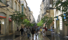 La rue Sainte-Catherine, à Bordeaux. (crédit : BillBl)