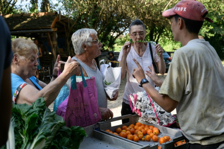 Des légumes vendus sur le marché du "Quartier libre des Lentillères", une ZAD urbaine à Dijon, le 14 août 2025 en Côte d'Or ( AFP / ARNAUD FINISTRE )