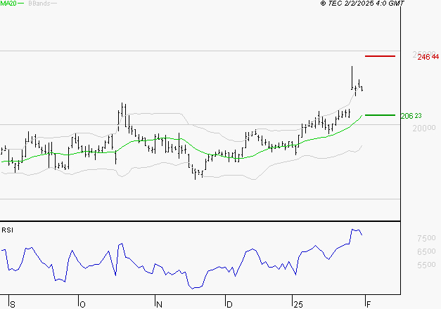 SARTORIUS STEDIM BIOTECH : Les résistances sont proches