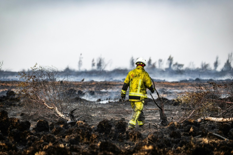 Un pompier lors des opérations de lutte contre un feu de forêt dans la réserve naturelle des Hautes Fagnes, dans l'est de la Belgique, le 18 août 2026 ( BELGA / BRUNO FAHY )