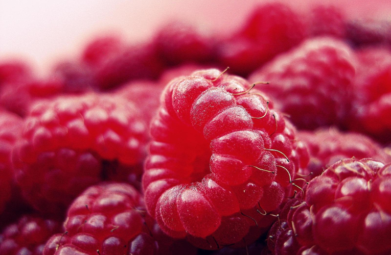 Des framboises enrobées de chocolat, la recette du succès fou de Franui. (illustration) (Pixabay / DGlodowska)