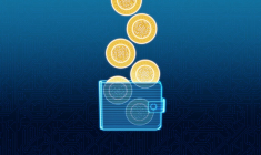 L’AMF définit l’offre au public de cryptoactifs comme une source de financement alternative réalisée via la blockchain. Elle peut être rapprochée du capital-risque ou du financement participatif. ( crédit photo : Getty Images )