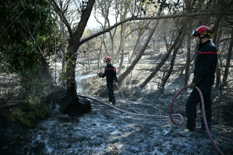 Des pompiers arrosent les arbres et la terre pour empêcher le feu de reprendre alors qu'un incendie fait rage près de la commune de Tarerach, à l'ouest de Perpignan, le 7 juillet 2026 dans les Pyrénées-Orientales ( AFP / Lionel BONAVENTURE )