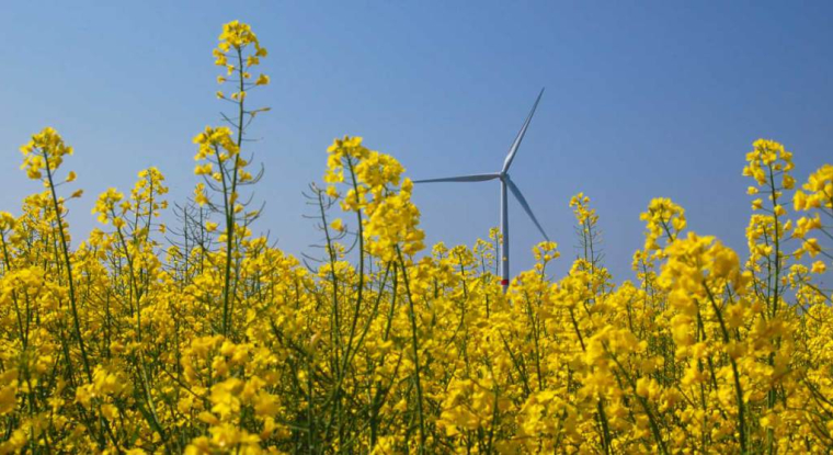 EDF Luminus a l'intention de lancer son introduction en Bourse sur Euronext. (© EDF)
