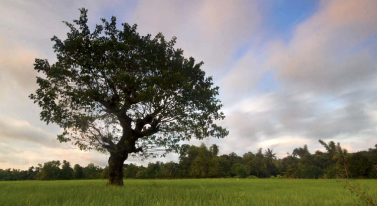 Agrilend est présent au Salon international de l'agriculture de Paris jusqu'au 4 mars. (© cc R. Balmana / Flickr)