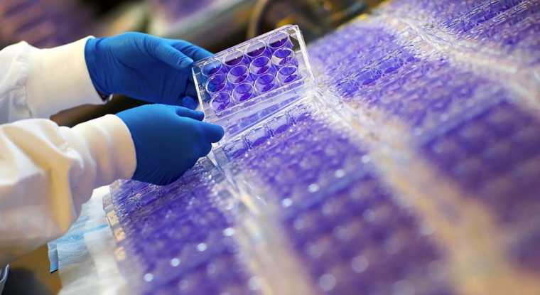 Le laboratoire vient d'annoncer l'acquisition de Provention Bio. (© Sanofi)