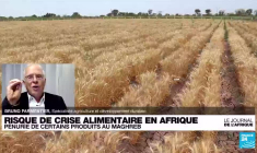 "La guerre en Ukraine fera surement plus de morts par la famine dans les pays du sud que par les bombes en Europe"