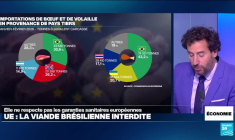 Mercosur : l’Europe ferme ses portes aux viandes brésiliennes