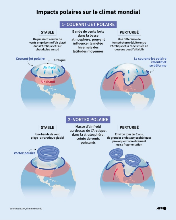 Infographie montrant les différents états du courant-jet polaire arctique et du vortex, et la façon dont ils influencent la météo dans l’hémisphère nord ( AFP / Jonathan WALTER )