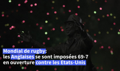 Mondial de rugby: réactions de supporters après la victoire anglaise en ouverture