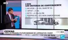 Quinze pays d'Afrique de l'Ouest veut se doter d'une monnaie unique, l'éco