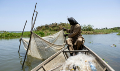 Ahmat Moussa, 42 ans, réfugié dans le camp de personnes déplacées à Yakoua, dans la province du lac Tchad, au Tchad, vérifie un filet le 21 juin 2025 ( AFP / Joris Bolomey )