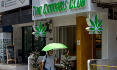Une femme passe devant un dispensaire de cannabis , à Bangkok, en Thaïlande, le 20 avril 2023 ( AFP / Jack TAYLOR )