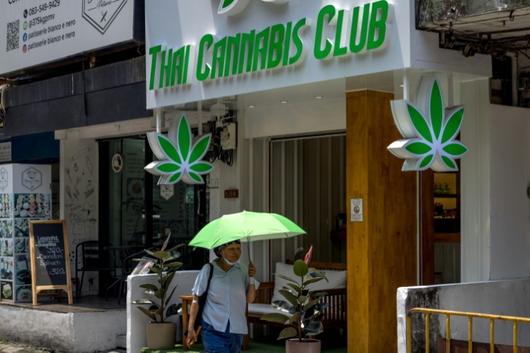 Une femme passe devant un dispensaire de cannabis , à Bangkok, en Thaïlande, le 20 avril 2023 ( AFP / Jack TAYLOR )