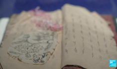 Chine : le nüshu, la langue secrète des femmes