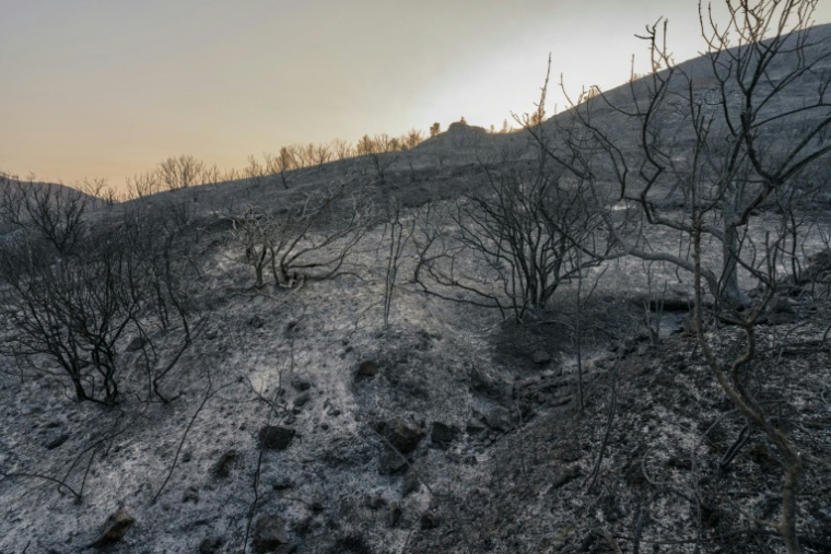 Une forêt détruite par un incendie à Coustouge, dans l'Aude, le 7 août 2025 ( AFP / Idriss Bigou-Gilles )
