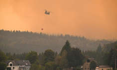 Un hélicoptère bombardier d'eau néerlandais lutte contre un incendie dans les Fagnes en Belgique le 16 août  2026 ( AFP / JOHN THYS )