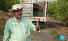 Mexique : dans l'État du Michoacan, les habitants fuient la violence des cartels