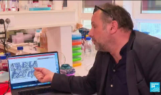 Cancer du rectum: La totalité des patients d'un essai clinique en rémission