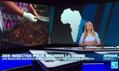 Ghani Belmaachi et Doff, deux talents exposés à l'AKAA, vitrine de l'art contemporain à Paris