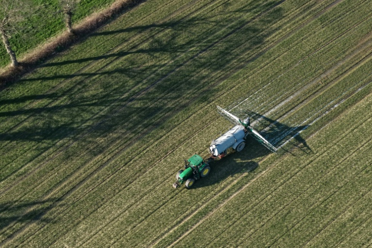 Le projet de loi d'urgence agricole aborde de nombreux thèmes et entend apporter des réponses concrètes à la colère du secteur l'hiver dernier ( AFP / Damien MEYER )