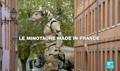 Le minotaure made in France