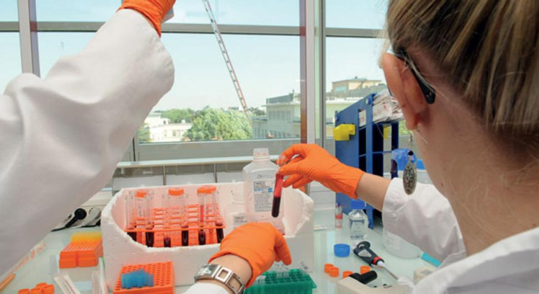 Après DBV Technologies ou Cellectics, c'est au tour d'Erytech Pharma de miser sur les fonds américains pour financer ses développements. (© Erytech)