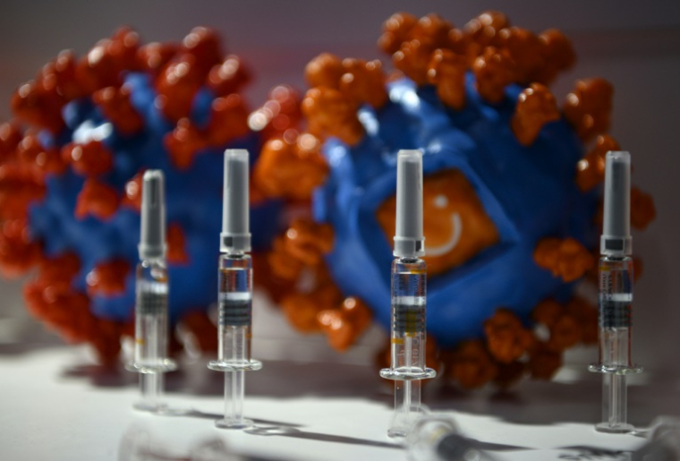 La reprise de la circulation du Covid-19, manifeste en France depuis plusieurs semaines, n'a pas jusqu'ici un impact sanitaire nécessitant d'avancer la campagne de vaccination ( AFP / NOEL CELIS )
