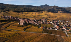 ( AFP / SEBASTIEN BOZON )