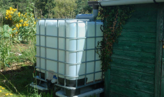 Récupérateur d’eau : comment le choisir ?- iStock.com / Richard Villalonundefined undefined