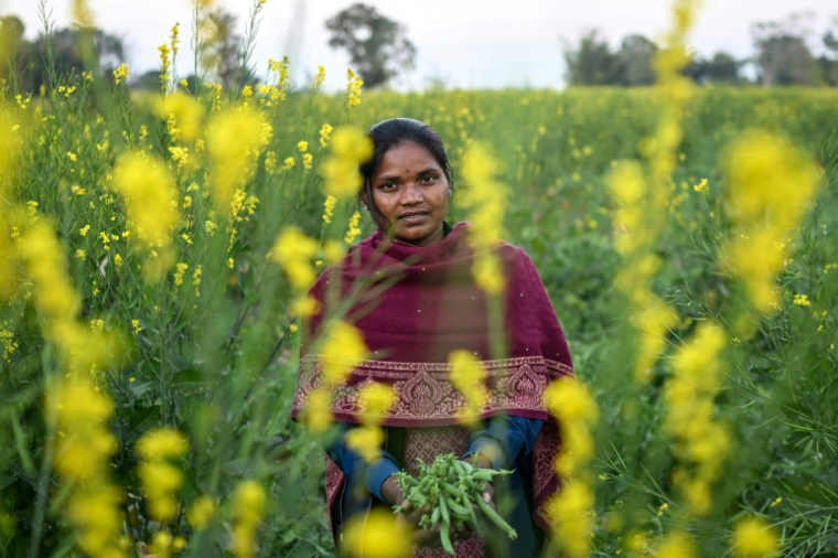Chandmani Kerketta, spécialiste de l'annotation de données par IA, dans un champ de la ferme familiale du village de Parchuttu, dans l'État du Jharkhand, le 15 janvier 2026 en Inde ( AFP / Arun SANKAR )