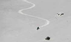 CIE DES ALPES RESTE CONFIANTE DANS UNE OUVERTURE DE SON CAPITAL
