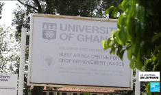 Ghana : des drones au service de l'agriculture