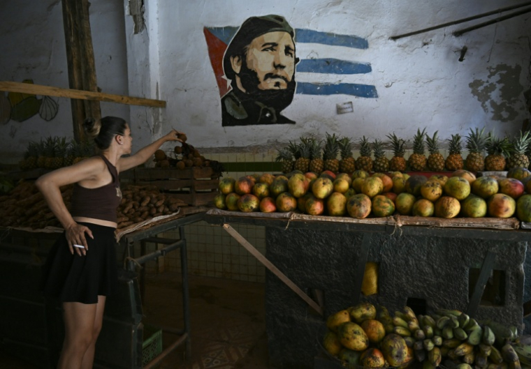 Un stand de vente de fruits et légumes à La Havane, le 18 juin 2026  ( AFP / YAMIL LAGE )