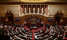 ( AFP / THOMAS SAMSON )