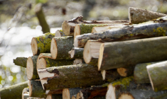 Immobilier. En Ile-de-France, des bailleurs sociaux réhabilitent des logements avec de la paille et du bois