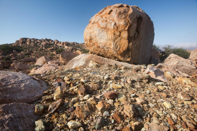 Une mine de terres rares en Afrique du Sud, le 29 juillet 2019 ( AFP / RODGER BOSCH )