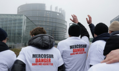 Manifestation contre l'accord sur le Mercosur devant le Parlement européen à Strasbourg, le 21 janvier 2026 ( AFP / Romeo BOETZLE )
